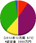 上川建設 貸借対照表 2012年12月期