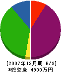 篠浦板金工業所 貸借対照表 2007年12月期
