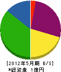 寿大光 貸借対照表 2012年5月期