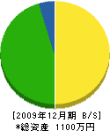 田川栄楽園 貸借対照表 2009年12月期