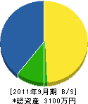 辻健建設 貸借対照表 2011年9月期