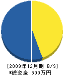 藤本土木 貸借対照表 2009年12月期