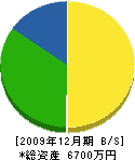 前田造園 貸借対照表 2009年12月期