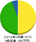 下田土建 貸借対照表 2010年6月期