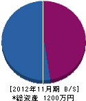 藤井畳 貸借対照表 2012年11月期