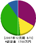 鈴木電気工業所 貸借対照表 2007年12月期