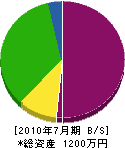 丸善神川建設 貸借対照表 2010年7月期