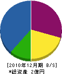 稲垣電機 貸借対照表 2010年12月期