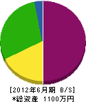 松島建設 貸借対照表 2012年6月期