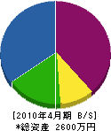 澤田建具製作所 貸借対照表 2010年4月期