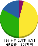 宮井組 貸借対照表 2010年12月期