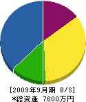 武田ウエル工業 貸借対照表 2009年9月期