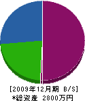 豆塚工務店 貸借対照表 2009年12月期