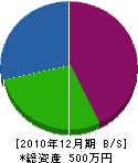 田中工業 貸借対照表 2010年12月期