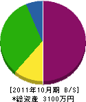 齊藤造園 貸借対照表 2011年10月期