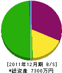 藤井建設 貸借対照表 2011年12月期