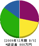 三井工建 貸借対照表 2009年12月期