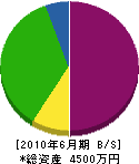 片桐工務店 貸借対照表 2010年6月期
