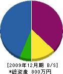 吉永塗装 貸借対照表 2009年12月期