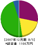 田川栄楽園 貸借対照表 2007年12月期