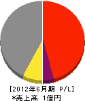 早川工務店 損益計算書 2012年6月期