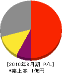 太田工業 損益計算書 2010年6月期