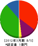 井戸松建設興業 貸借対照表 2012年3月期