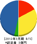堀井商店 貸借対照表 2012年3月期