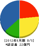 土志田建設 貸借対照表 2012年6月期