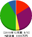 堀井電気工業所 貸借対照表 2010年12月期