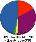 伊藤建築 貸借対照表 2008年10月期