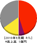 渡良瀬電気工業所 損益計算書 2010年9月期