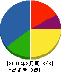 奥山電工 貸借対照表 2010年3月期 奥山電工 貸借対照表 2010年3月期