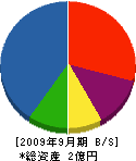 平尾工務店 貸借対照表 2009年9月期
