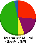 竹内産業 貸借対照表 2012年12月期