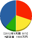 片野田建設 貸借対照表 2012年9月期