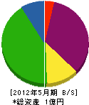 飯田庭園 貸借対照表 2012年5月期