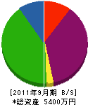 昭和建設 貸借対照表 2011年9月期