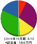 斎藤設備 貸借対照表 2010年10月期