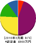 津村商会 貸借対照表 2010年3月期
