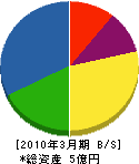 竹内電気工事 貸借対照表 2010年3月期