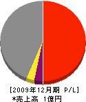 井戸渕建築 損益計算書 2009年12月期
