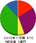 齋藤商店 貸借対照表 2010年11月期