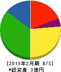 船田建設 貸借対照表 2013年2月期