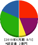 青葉重機建設 貸借対照表 2010年6月期