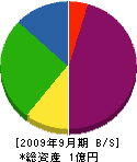 田中ポンプ工業所 貸借対照表 2009年9月期