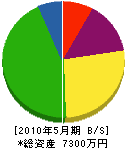 木島建設 貸借対照表 2010年5月期