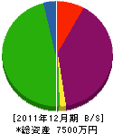 松本建材店 貸借対照表 2011年12月期