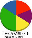 涌井組 貸借対照表 2012年6月期