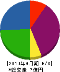 藤井電業社 貸借対照表 2010年9月期